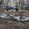  — newsvl.ru