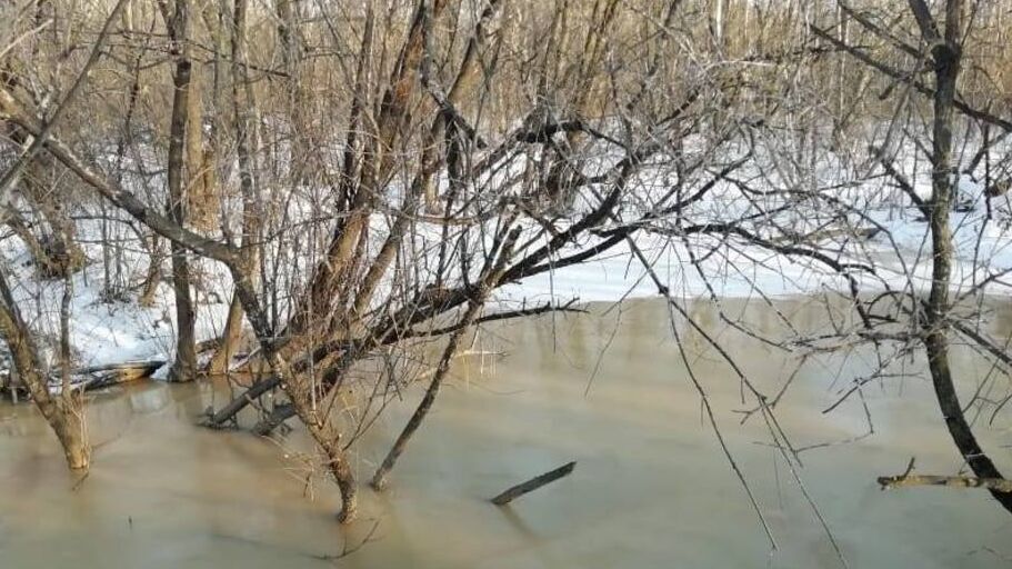 Экологическая катастрофа: черную воду в горной речке обнаружили в Хабаровском крае (ВИДЕО)