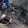 Сейчас рабочие демонтируют уничтоженное огнём оборудование и кабели — newsvl.ru