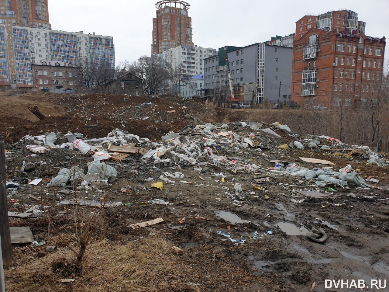 Возле питомника Шуранова набросали огромную свалку (ФОТО) — Новости  Хабаровска