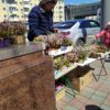 Сегодня во Владивостоке много желающих купить "весенние веточки" — newsvl.ru