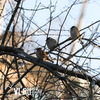 Сегодня во Владивостоке 10…12 °C и сильный ветер