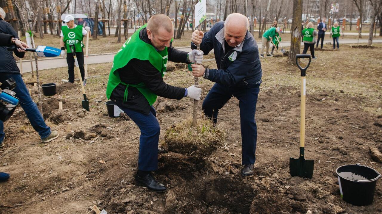 Акцию по высадке 1000 саженцев в парке имени Гагарина организовал Сбер (ФОТО)