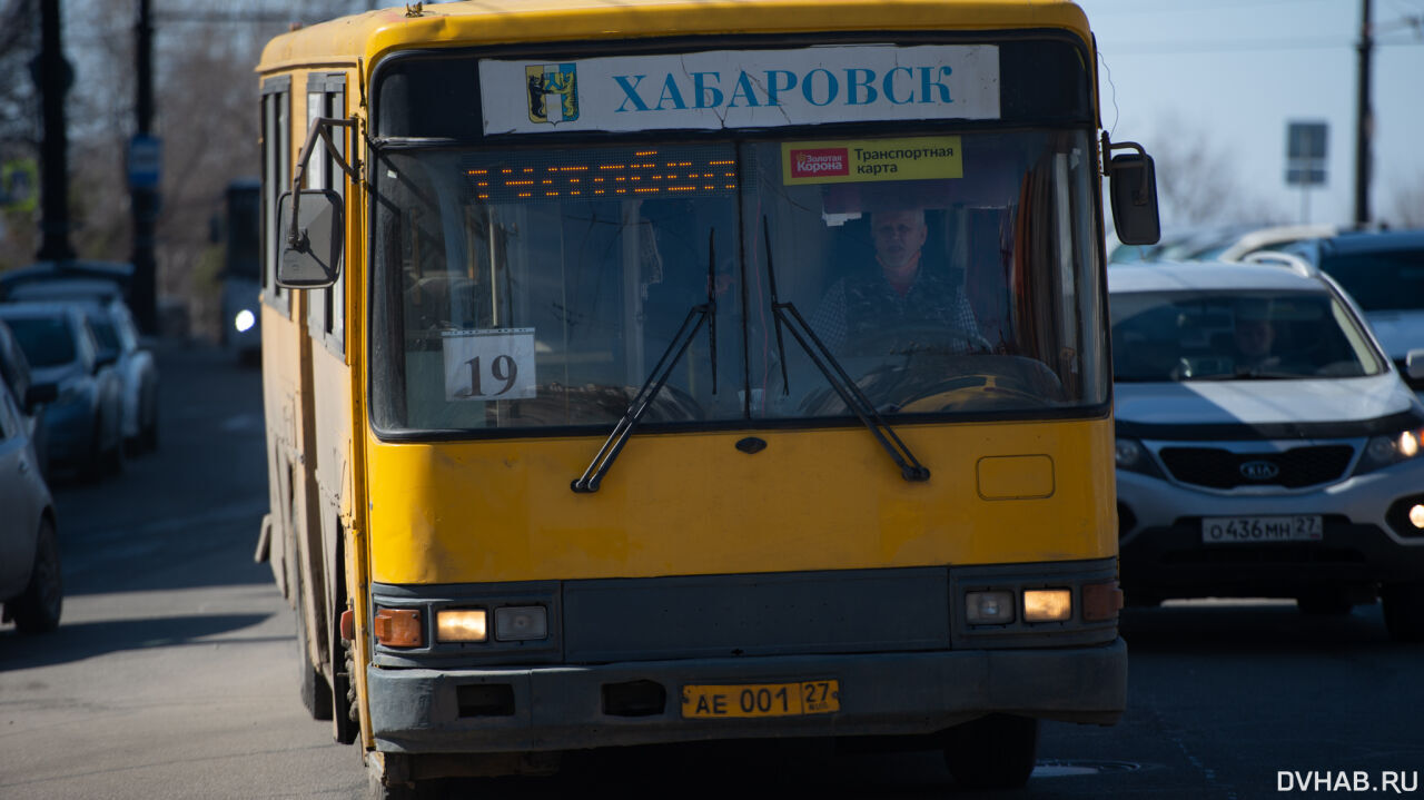 Кравчук рассказал, почему обновление автобусов займет пять лет — Новости  Хабаровска