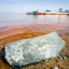 Яркие пятна появились из-за цветения водорослей Noctiluca — newsvl.ru