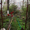 Постышева, 17 — newsvl.ru