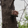 Постышева, 17 — newsvl.ru