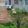 Русская, 60 — newsvl.ru