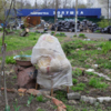 Русская, 60 — newsvl.ru