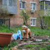 Русская, 60 — newsvl.ru