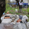Русская, 60 — newsvl.ru
