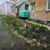 Полярная, 1 — newsvl.ru