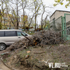 Пожароопасные кубометры: жители Владивостока не могут добиться вывоза лежащих куч веток и обрезки сломанных деревьев
