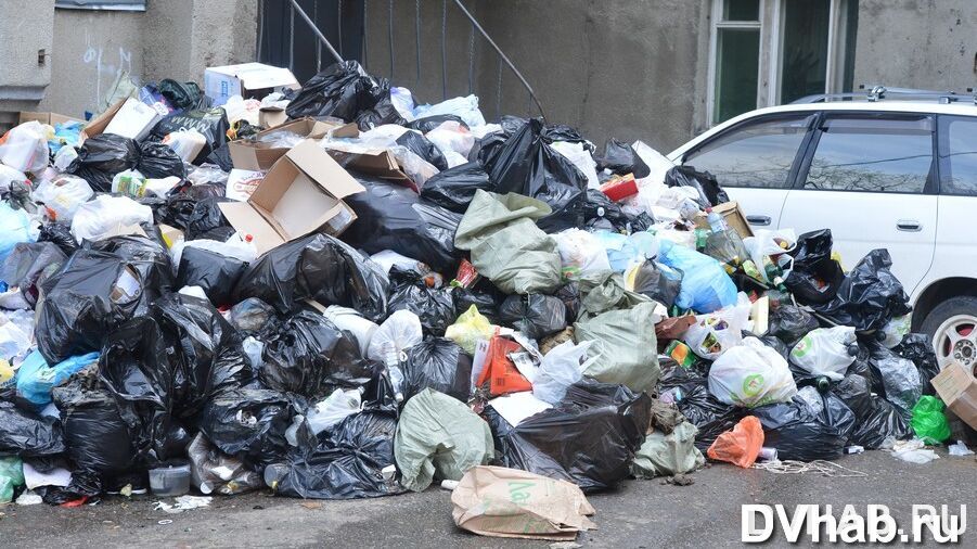 Управляйка из села Бирофельд месяцами не убирала мусор