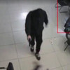 Уголовное дело о вооружённой банде, которая грабила интернет-кафе в Приморье, направлено в суд