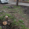 На фото видно следы стоявшей на грунте машины — newsvl.ru