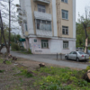 Часть деревьев у Марченко, 6 спилили после ледяного дождя — newsvl.ru