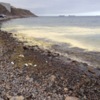 Фотограф VL.ru увидел "жёлтое море" у пляжа на Патрокле — newsvl.ru