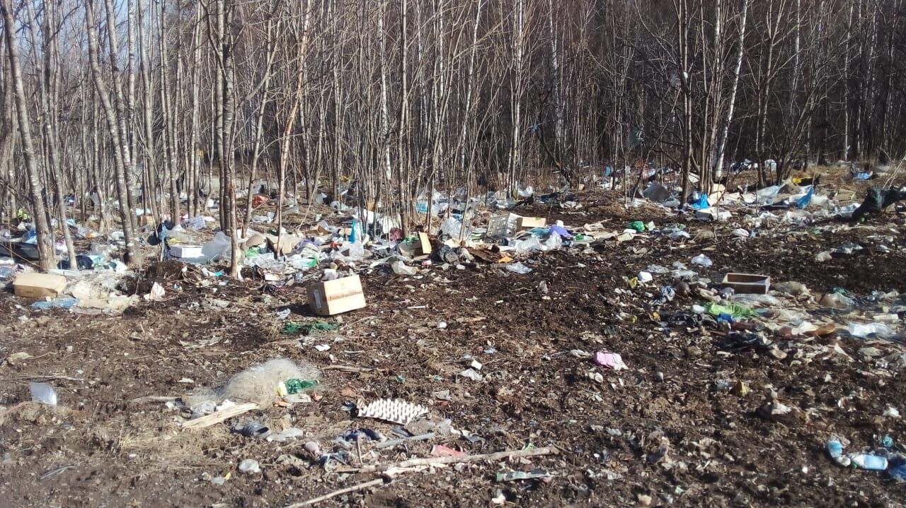 Гарантированная помойка: Хабаровский край на грани экологического кризиса (ФОТО; ВИДЕО)