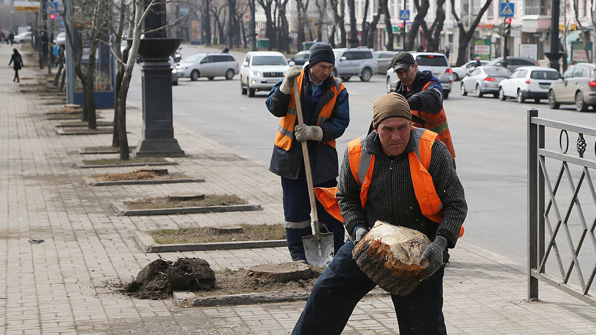 Общегородской субботник состоится 22 мая в Хабаровске — Новости Хабаровска