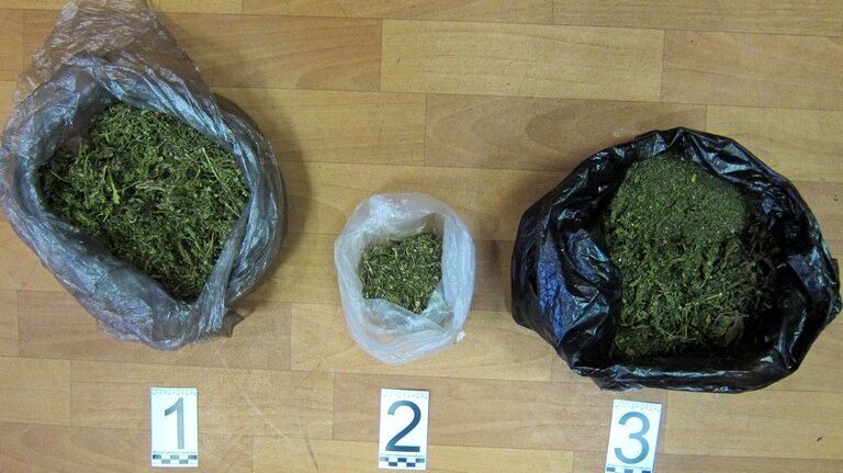 1 кг марихуаны сколько это выращивал в огороде марихуану