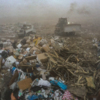 На действующем полигоне ТБО закончилось место для хранения мусора — newsvl.ru