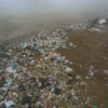 Куда теперь будут свозить городские отходы – неизвестно — newsvl.ru
