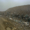 Сюда свозили мусор со всей Владивостокской агломерации — newsvl.ru