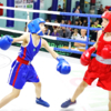 Более 100 молодых боксёров участвуют в этих соревнованиях — newsvl.ru
