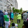 Жители Чуркина борются за сохранение зелёных насаждений около своих домов — newsvl.ru