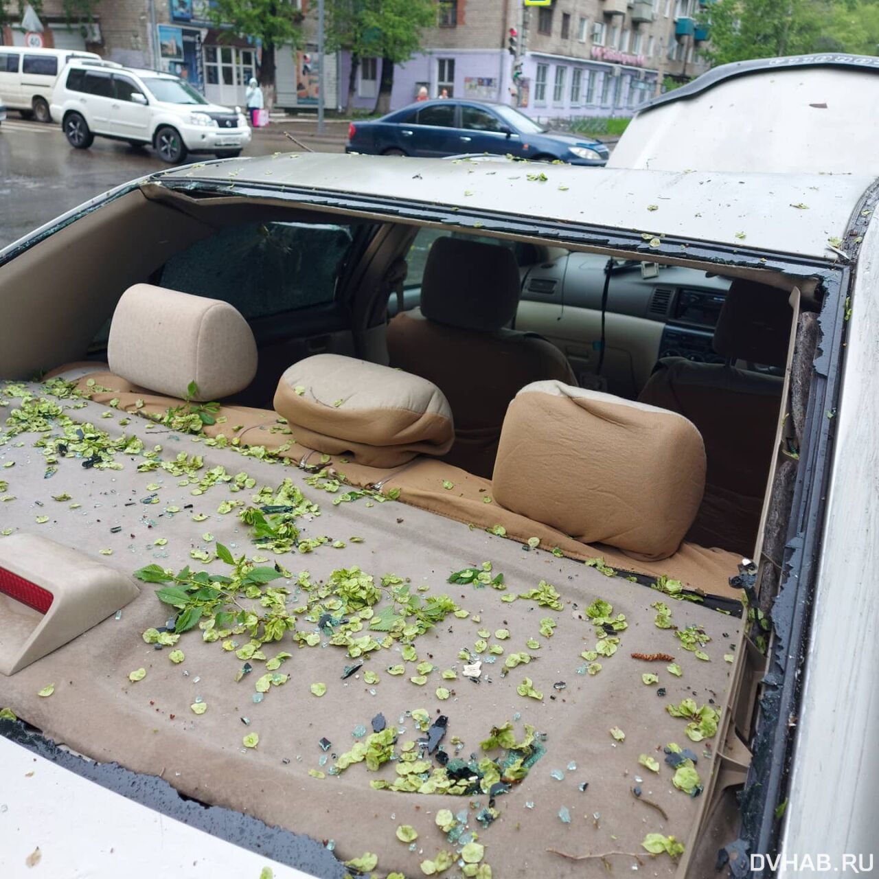 Упавшее дерево повредило автобус и автомобиль в Комсомольске (ФОТО; ВИДЕО)  — Новости Хабаровска