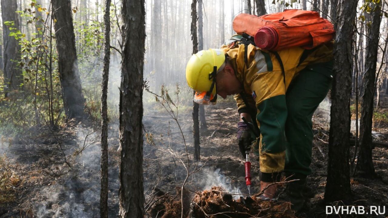 О риске лесных пожаров в крае предупреждают эксперты