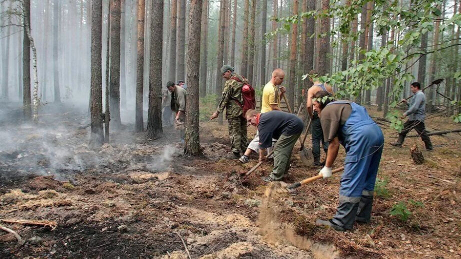 Семь лесных пожаров тушат в Хабаровском крае