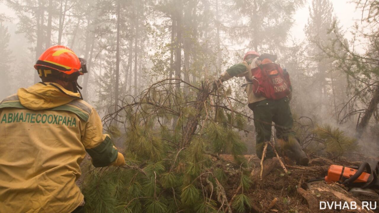 Пожарные из ЕАО помогут тушить леса в Якутии