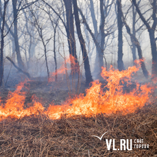 Лесной пожар впервые возник в национальном парке «Бикин» в Приморье