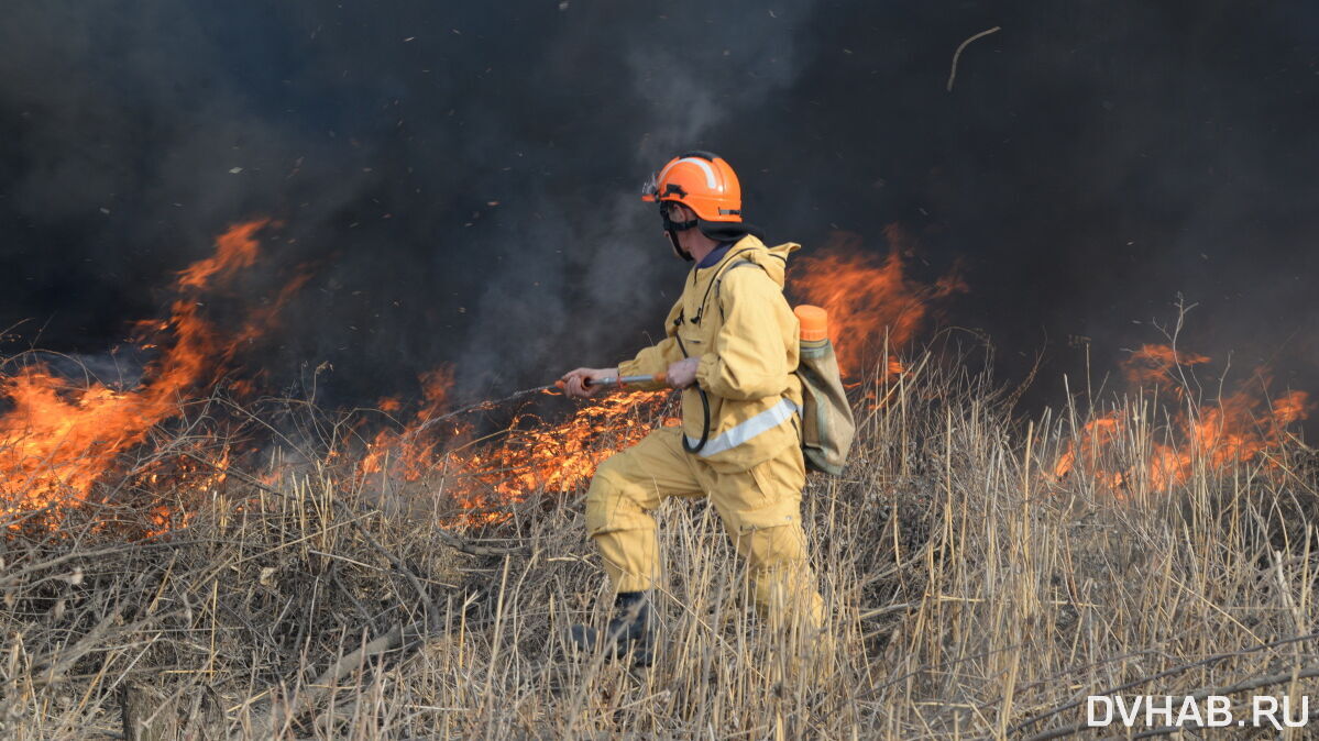 Из федерального бюджета краю выделили 159 миллионов на тушение пожаров