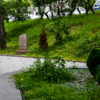 Знак стоит в Центральном сквере — newsvl.ru