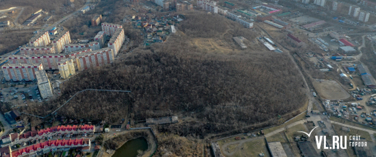 Строительство домов спас клепики