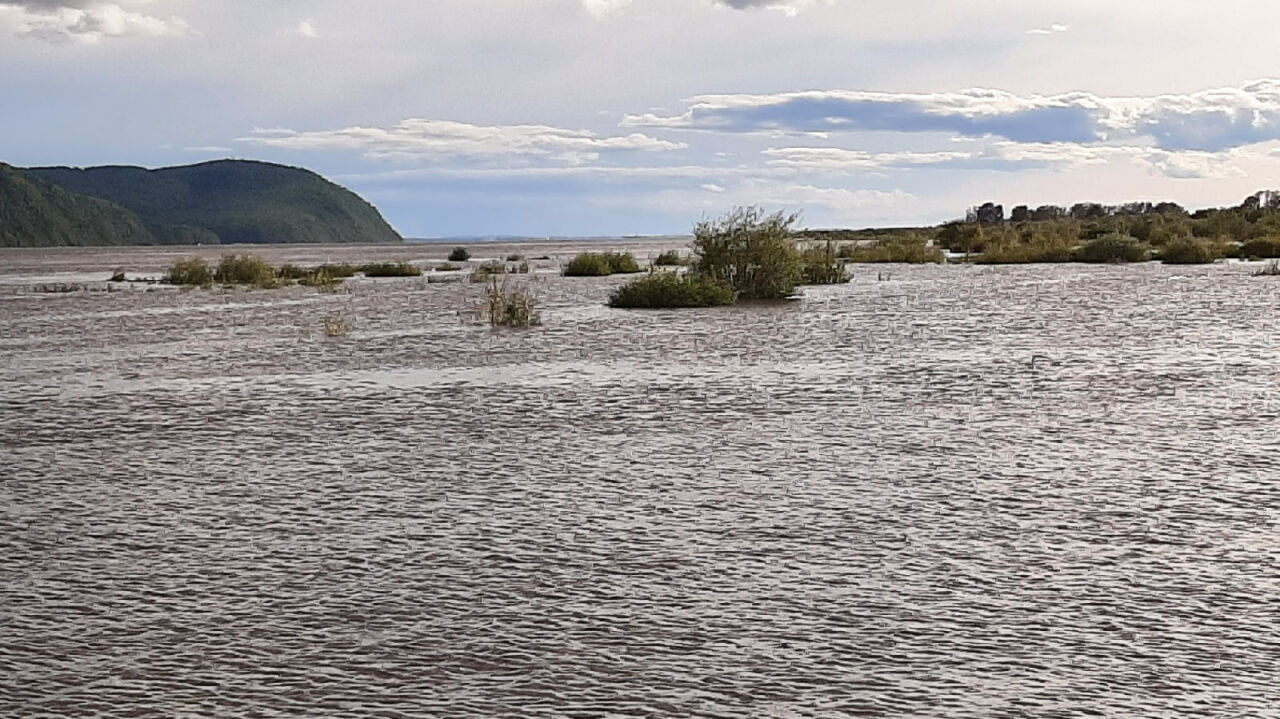 Уровень воды в Амуре в Комсомольске-на-Амуре сегодня