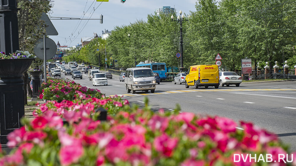 Погода в хабаровске фото сегодня