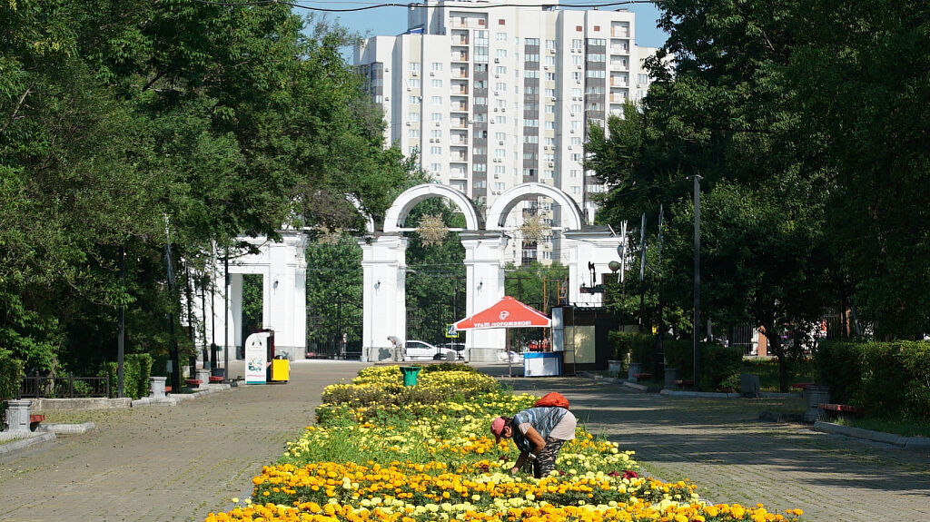 Новую структуру собираются создать в администрации ...