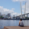 Посмотреть на корабли можно было лишь издалека — newsvl.ru