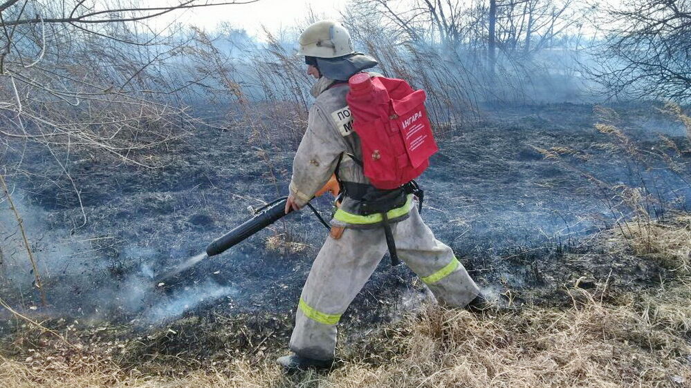 Более десятка очагов лесных пожаров зафиксировано в Хабаровском крае