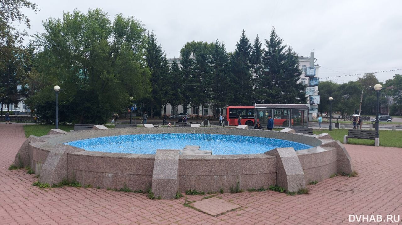 Русский Лес Площадь Юности