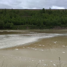 Прокуратура: технические воды Дальнегорского ГОКа попали в реку Рудную из-за заболачивания пруда-отстойника