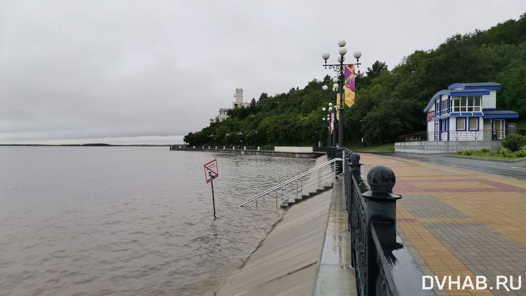 Режим ЧС ввели в Хабаровске из-за паводка на Амуре