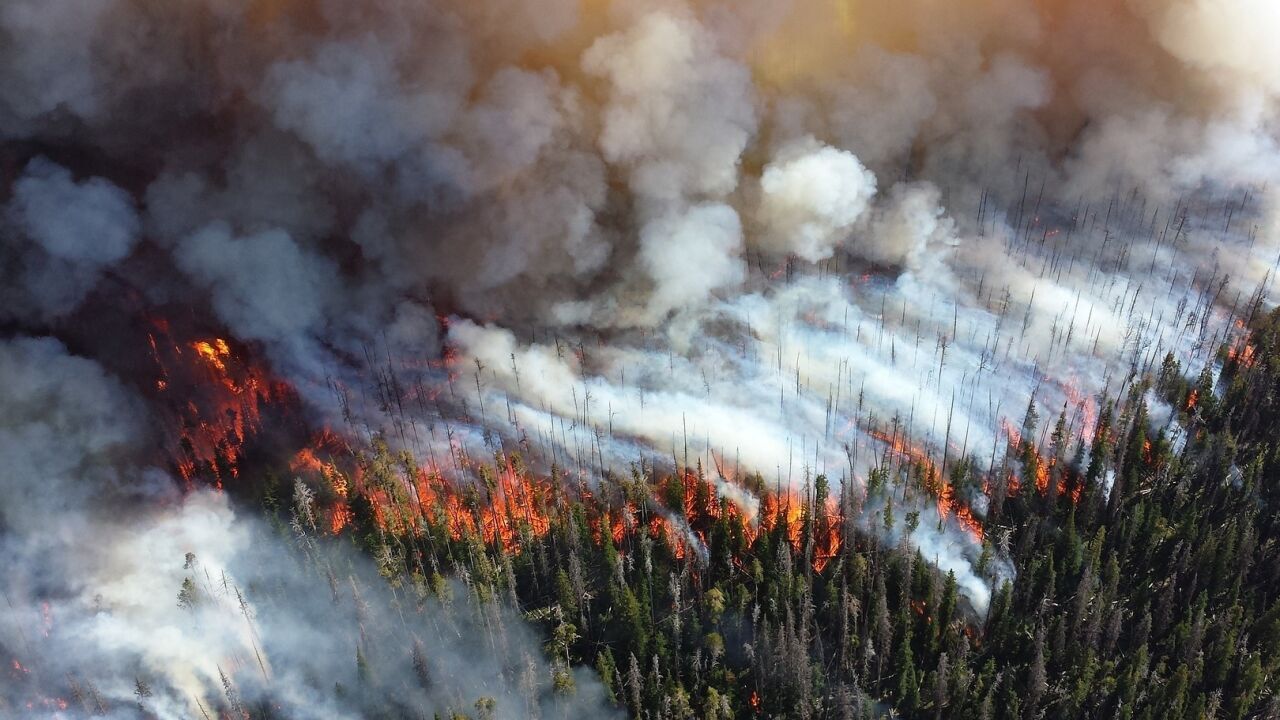 Отразятся ли якутские пожары на климате Дальнего Востока - прокомментировал эксперт