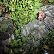 Две группы чёрных лесорубов задержали в Приморье – изъята тяжёлая техника и больше 100 кубометров древесины