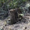 Если затянуть сроки, то неизбежно пострадает качество — newsvl.ru