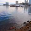 Резкий запах нефтепродуктов чувствуется на "Тропе здоровья" — newsvl.ru